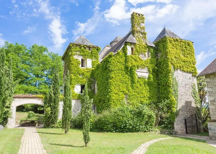 Chateau Du Raysse Holiday home *