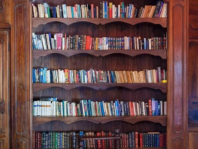 Chateau Du Raysse Holiday home *