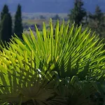 Chateau Du Raysse Дом отдыха *