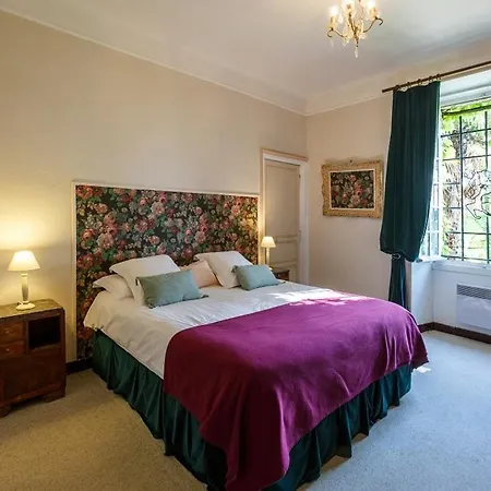 Château Du Raysse *