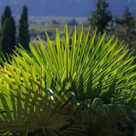 Château Du Raysse Hébergement de vacances *