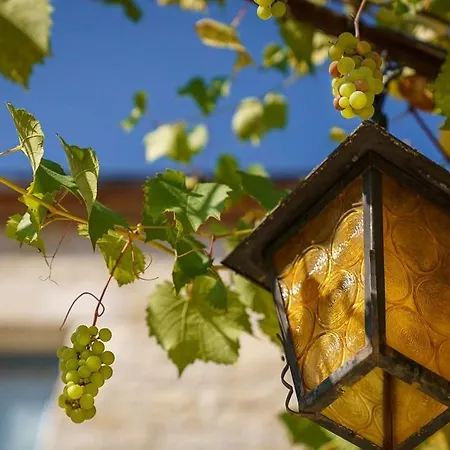 Château Du Raysse Cazoules