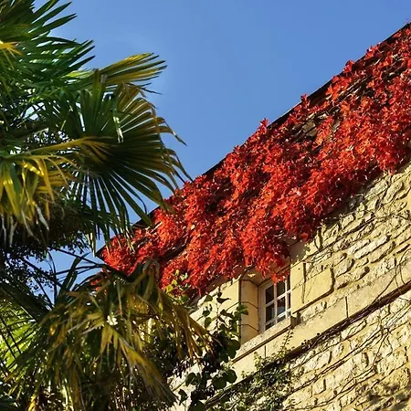 Château Du Raysse
