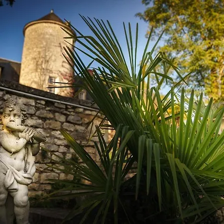 Château Du Raysse * Cazoules