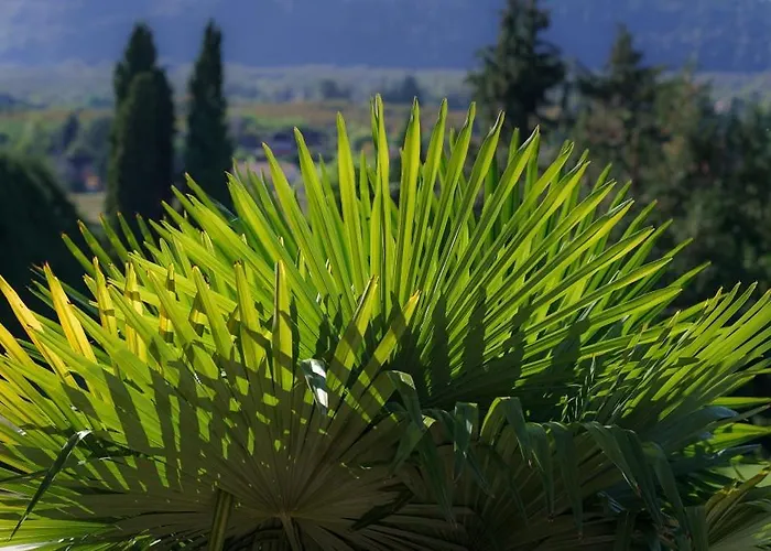 Chateau Du Raysse Vakantiehuis *