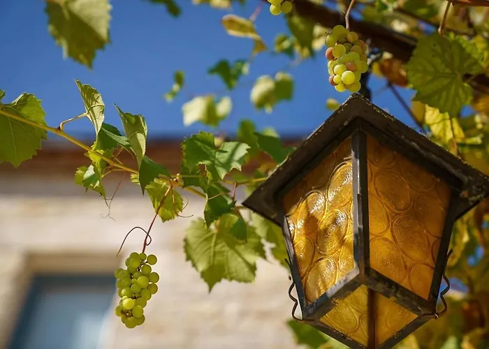 Chateau Du Raysse Cazoules